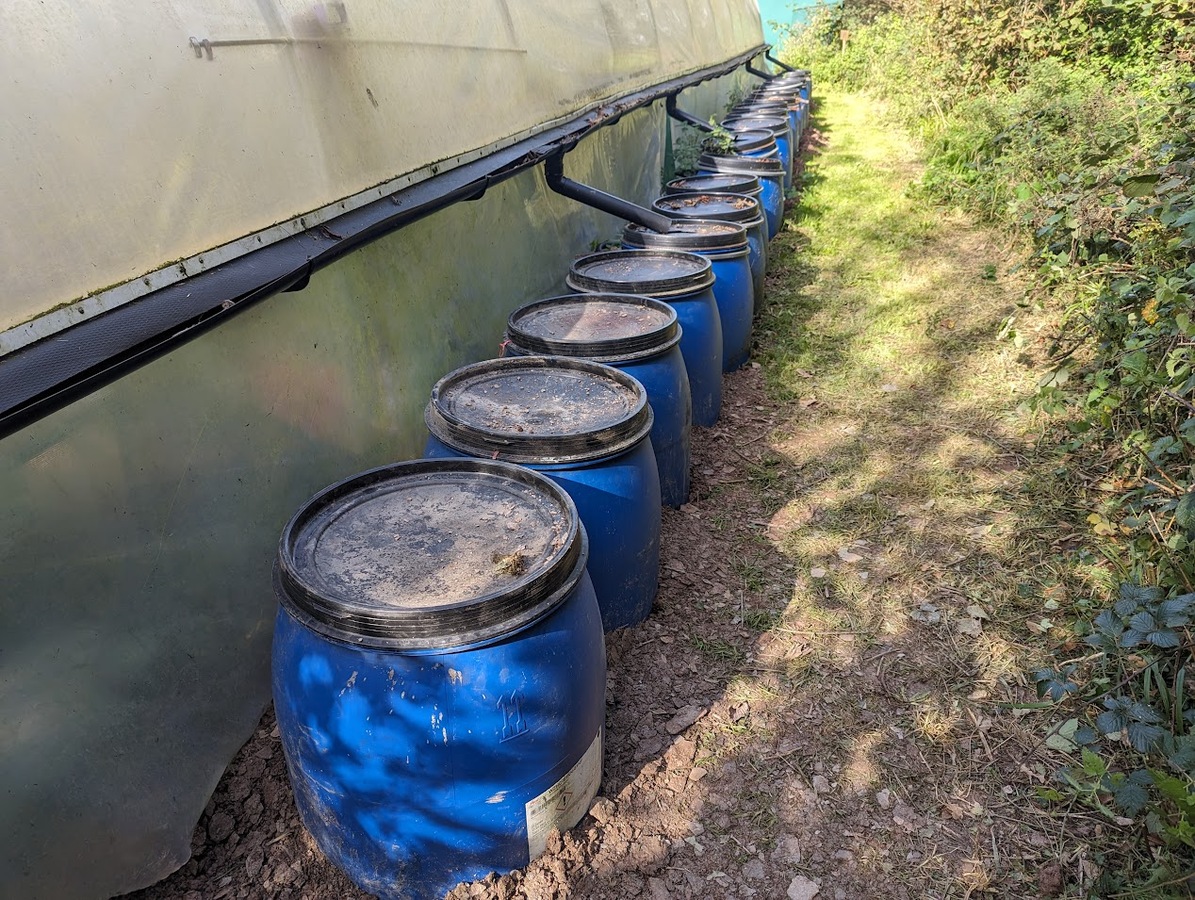 Polytunnel supply ( 44 water butts )